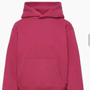 Aritzia TNA cozy perfect fleece hoodie